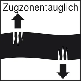Fischer Bolzenanker FAZ II Plus 10/10 R