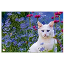 VELOFLEX Schreibtischunterlage Kunststoff Katze