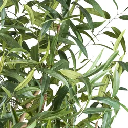 CREATIV green künstliche Pflanze Ficus Longifolia, 260cm, UV-beständig
