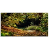 Artland Glasbild »Herbstteppich«, Wald, (1 St.), beige