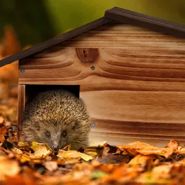 Relaxdays Igelhaus, Holz, Igelhotel mit Boden, 2 Kammern, Winterquartier für Igel, Garten, HBT: 24x46x33,5 cm, braun