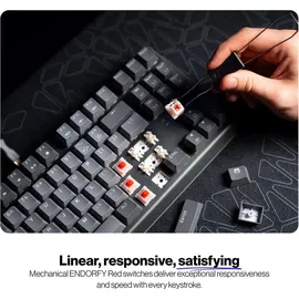 endorfy Thock V2 TKL Endorfy Red Switch US