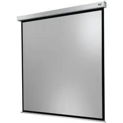 celexon Leinwand Motor Professional Plus 220 x 220 cm