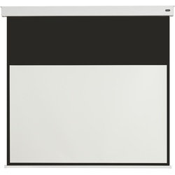 celexon Batterie Leinwand V2.0 Motor Professional Plus  - 4:3 - BM 160 x 120