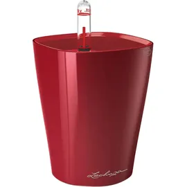 LECHUZA Mini Deltini Komplettset 10 x 10 x 13 cm scarlet rot hochglanz