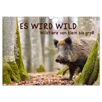 Calvendo ES WIRD WILD Wildtiere von klein bis groß