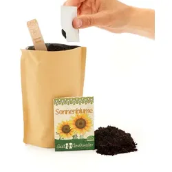 Die Stadtgärtner Minigarten - Sonnenblume