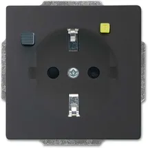 Busch-Jaeger Steckdoseneinsatz anthrazit