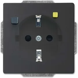 Busch-Jaeger Steckdoseneinsatz anthrazit