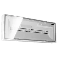 ESYLUX EN10077067 Rettungswegebeleuchtung für Unterbrechungsfreie Stromversorgung ELX EL LED