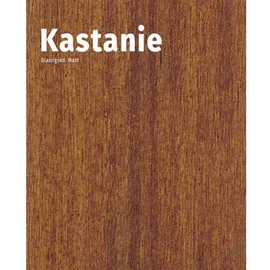 Remmers HK-Lasur 3in1 Kastanie matt 2,5 l