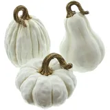 Frank Flechtwaren Kürbis White, 3er Set, schöne Herbstdeko, ausgefallen, modern