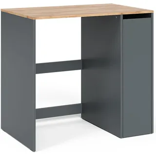Vicco Waschmaschinenschrank Viktor, 93.6 x 88.2 cm Waschmaschinenunterschrank, Anthrazit/Goldkraft Eiche
