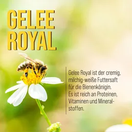 Kräuterhaus Sanct Bernhard Bienenköniginnen Schönheits-Creme 100 ml