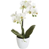 mucplants Orchidee Real Touch weiß 40cm im weißen Topf Kunstblumen Kunstpflanzen künstliche Orchidee