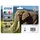 Epson 24XL Multipack color