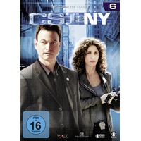 Universum film CSI: New York Season 6 (DVD)