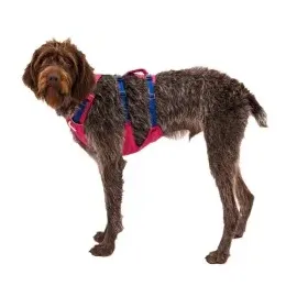 Ruffwear Flagline Hundegeschirr alpenglow pink XS