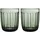Iittala Raami Trinkglas 0,26 l 2 St.