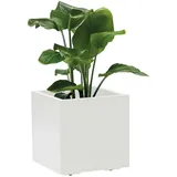 Euro3Plast Kebe 39,5 x 39,5 x 39,5 cm Weiß