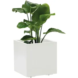 Euro3Plast Kebe 39,5 x 39,5 x 39,5 cm Weiß