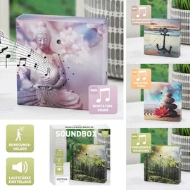 Cepewa Soundbox mit Bewegungsmelder | Natur- und Wellnessklänge 12x12cm