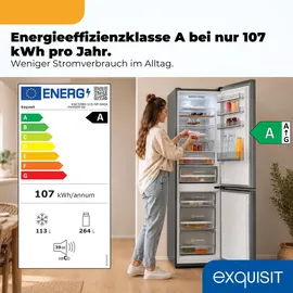 Exquisit KGC5380-115-NF-040A Kühl-Gefrierkombination (377 l, 2005 mm hoch, Silber)