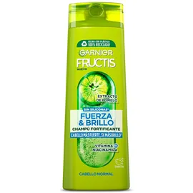 Garnier Fructis Stärke Und Glanz 2 In 1 Shampoo 360 ml