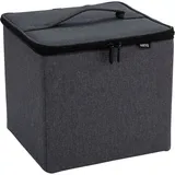 BenQ Tragetasche für GP520