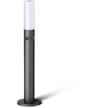 Steinel LED Wegeleuchte GL 65 S anthrazit