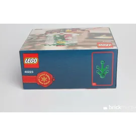 LEGO Schneekugel (40223)