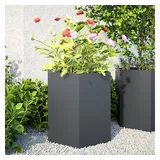 vidaXL Pflanzkübel 2 Stk. Anthrazit Sechseckig 46x40x45 Stahl