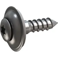 Sarei Spenglerschraube 4,5 x 20 mm 25 Stück