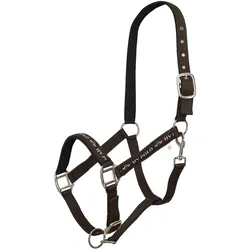 HV Polo HVPNena Halfter
