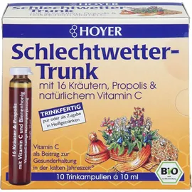 Hoyer Schlechtwetter-Trunk Trinkampullen bio 10 St.