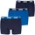 Puma Everyday Basics Boxershorts True Blue Combo XL 3er Pack