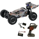 Drive & Fly Models RC-Buggy Z06 Light Buggy 1:14 RTR