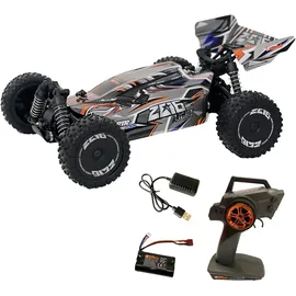 Drive & Fly Models RC-Buggy Z06 Light Buggy 1:14 RTR