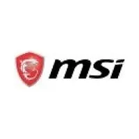 MSI Versa 300 Elite Wireless Gaming Mouse schwarz, USB/Bluetooth