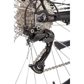 Saxonette Deluxe Sport 2022 28 Zoll RH 54 cm Herren silber