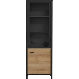 Forte Vitrine HIGH ROCK - braun