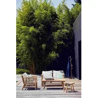 JAN KURTZ Sofa Fred 2-Sitzer aus Teakholz