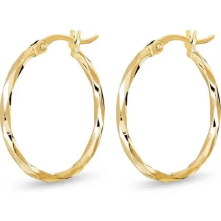 FAVS Creolen 88578163 Gelbgold 375
