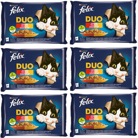 FELIX Fantastic Adult Lachs und Forelle in Gelee 12x(4x85g) Nassfutter