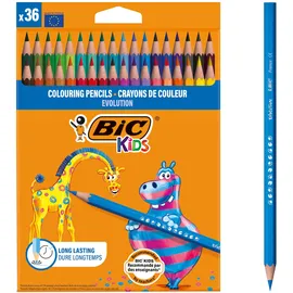 BIC Kids Evolution 36 Stück(e)