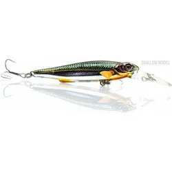 Wobbler - Gutsy Minnow 8cm - SHALLOW - 09 Shiny Shad gold|SCHWARZ NO SIZE