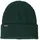 Patagonia Fishermans Rolled Beanie grün