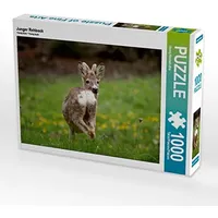 Calvendo Junger Rehbock Puzzle