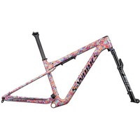 Specialized S-works Epic Wc 2023 Mtb Frame Mehrfarbig L