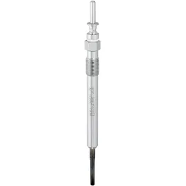 BorgWarner (Beru) Glühkerze gn1000 für MINI